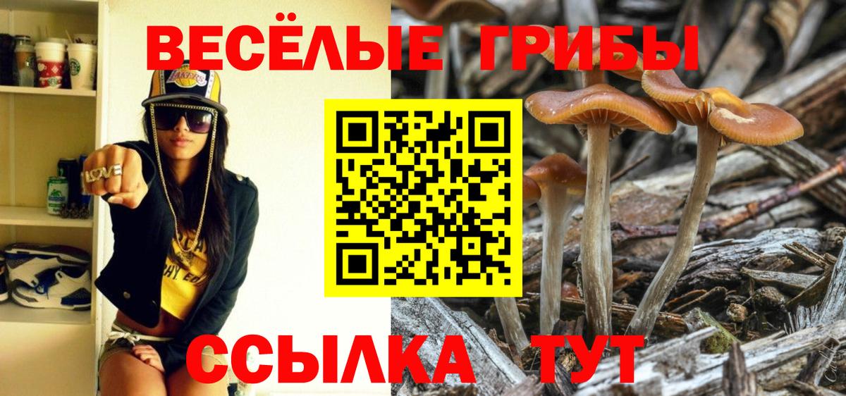 Новошахтинск  Галлюциногенные грибы мицелий  Вход с VPN 