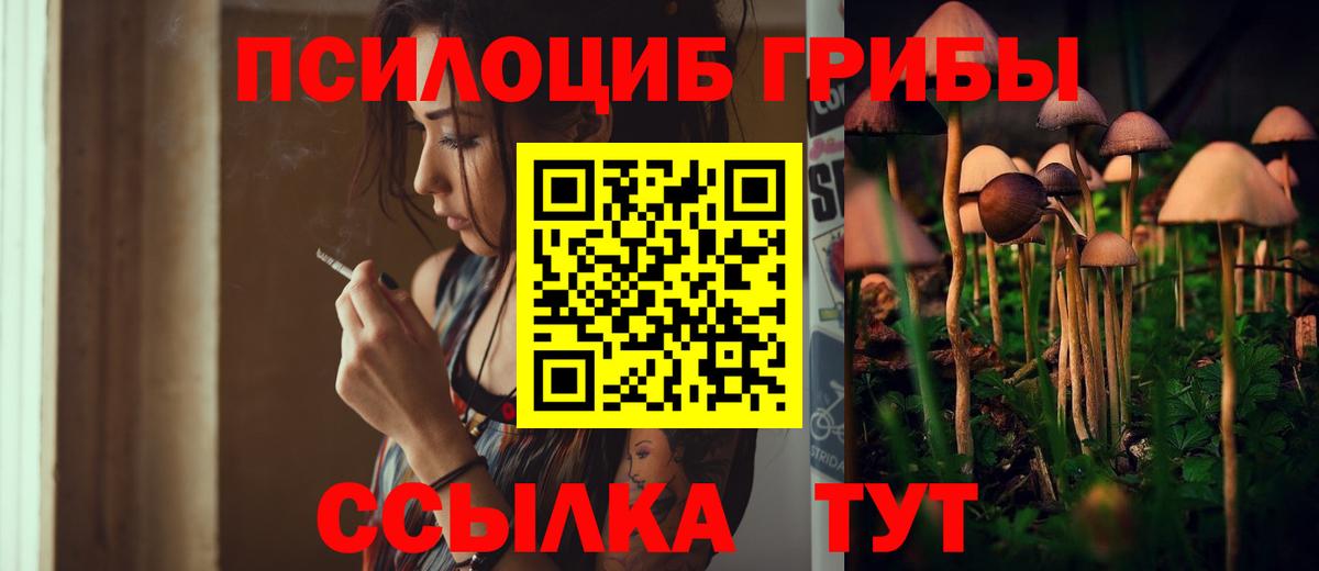 Псилоцибиновые грибы GOLDEN TEACHER Новошахтинск